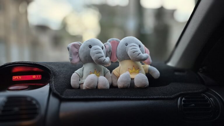 Maximize Comfort with These Unique Car Accessories